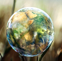 Environmental & Social Responsibility for Businesses