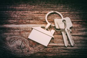 Real Estate & Property Law