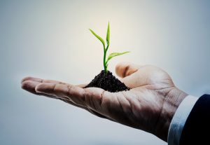 Licensing & Regulatory Support (FX, BO, Crypto, EMI, PI)