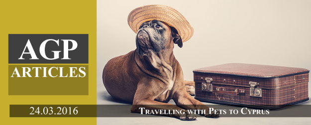 Travelling to Cyprus with Pets