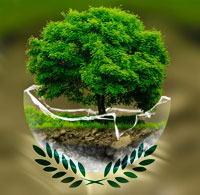 Cyprus Non-Domicile rule for tax purposes | Relocate to Cyprus and be tax exempt on your worldwide income