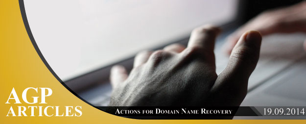 Actions for Domain Name Recovery