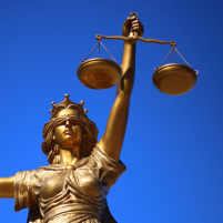 know your rights as victim of financial crime small
