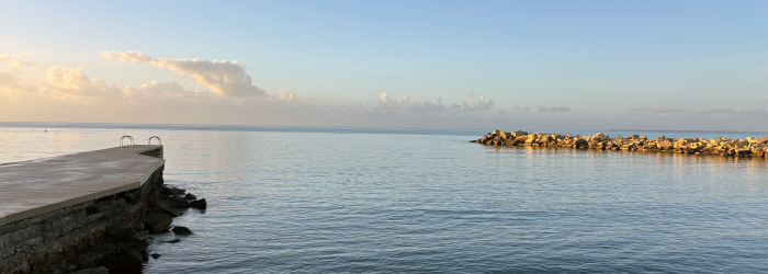 Taxation of Passive Income in Cyprus – The Company Advantage