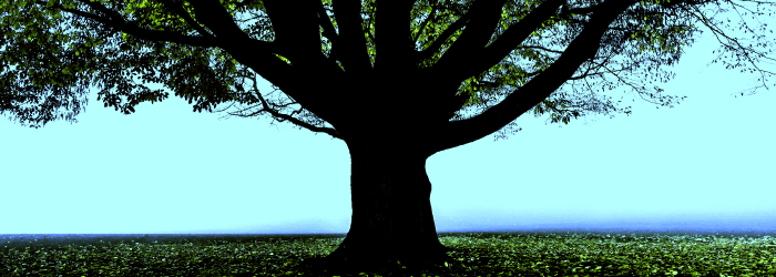 Cyprus Courts Ruled: Tenants Commit a Criminal Offence by Refusing to Vacate Rental Premises