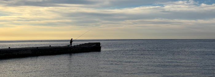 The Fallout of Cyprus’ Citizenship by Investment Program. Legal Strategies for Recovering Investor Funds in Cyprus